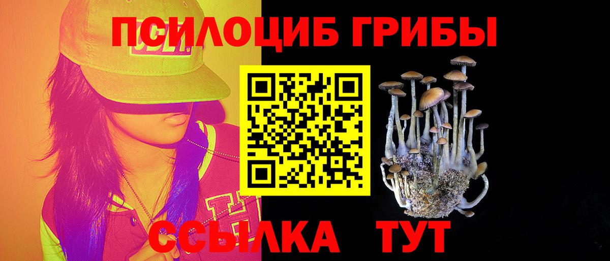 Барнаул  хочу наркоту  Вход с VPN  Псилоцибиновые грибы Psilocybe 